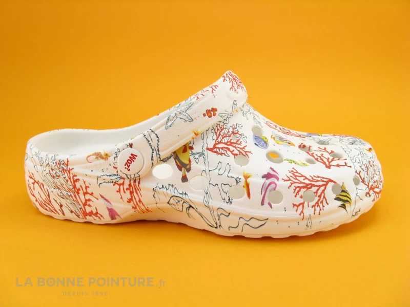 Woz Cheese Aquarium Mare – Image 5