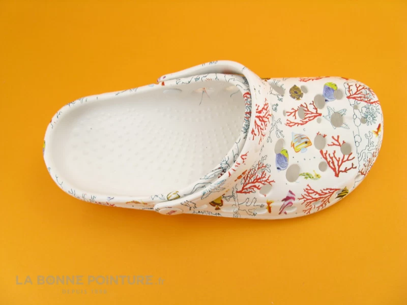 Woz Cheese Aquarium Mare – Image 6