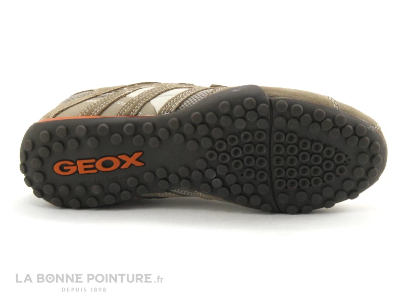 Geox U SNAKE L Beige Dk Orange – Image 7